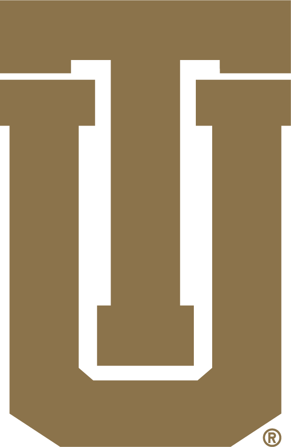 Tulsa Golden Hurricane 1992-2014 Secondary Logo DIY iron on transfer (heat transfer)